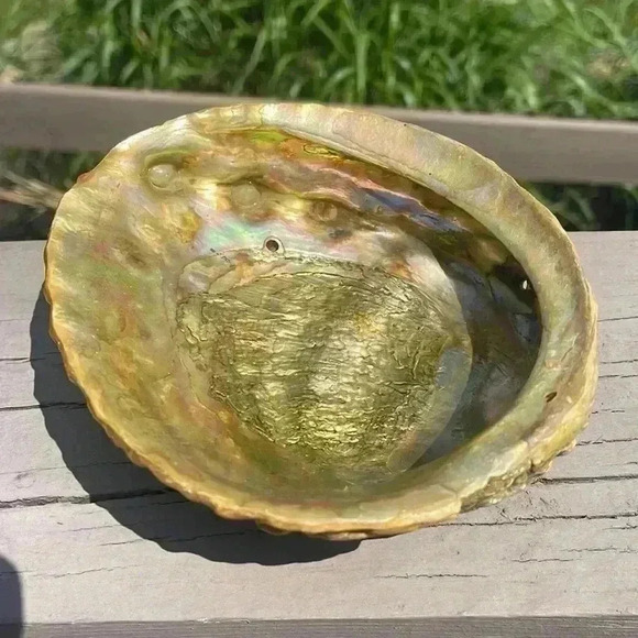 Vintage shell bowl. This is over 50 years old. - Picture 1 of 5